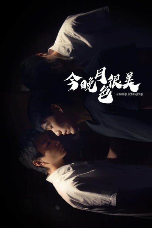 The Moonlight is Shining Tonight