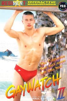 Gaywatch 2