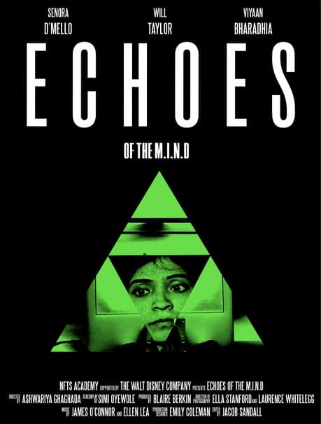 Echoes of the M.I.N.D.