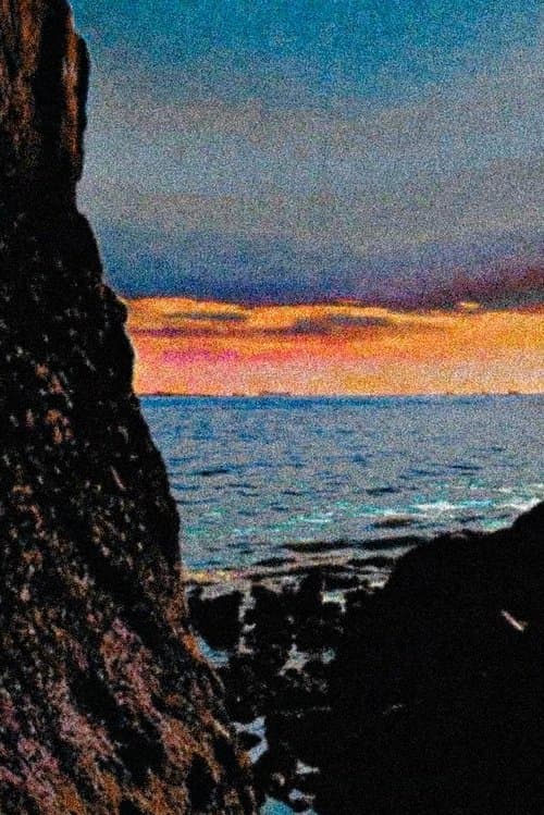 Where the Color and Sun Meet Together