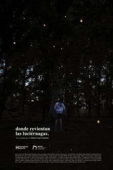 Where the fireflies burst