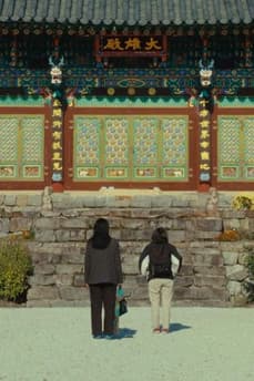 The Mountain Between Us