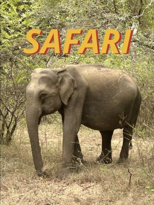 Safari