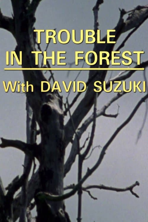 Trouble in the Forest