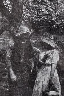 In the Season of Buds