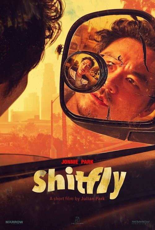 Shitfly