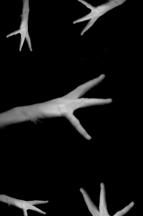 Phantom Hand