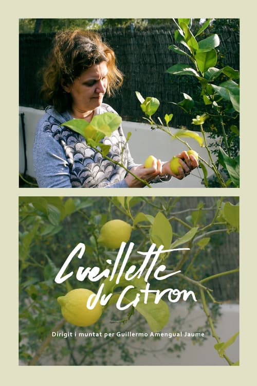 Cueillette du citron
