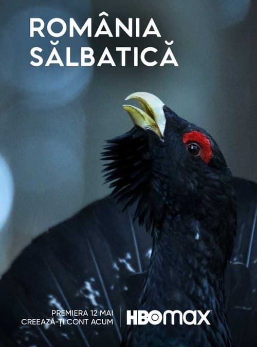 Wild Romania