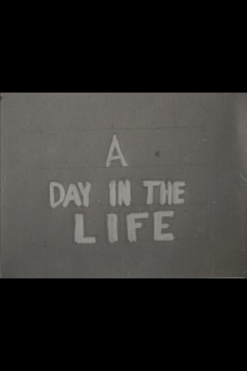 A Day in the Life
