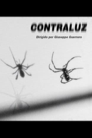 Contraluz