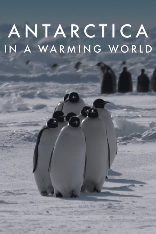 Antarctica in a Warming World