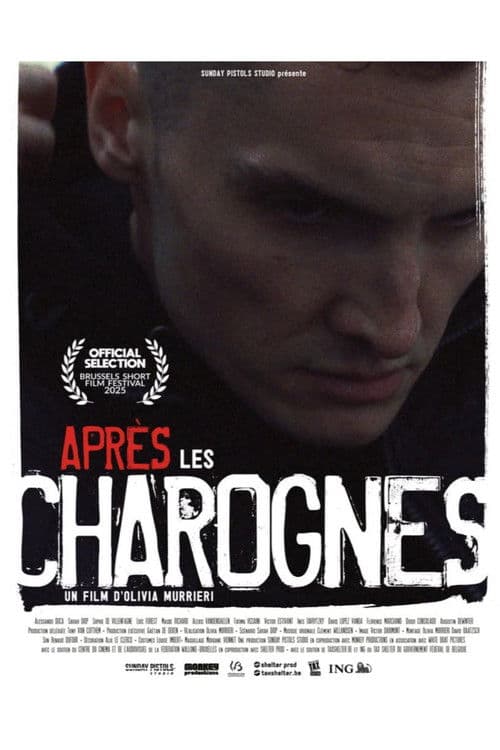 Après les charognes