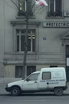 Nous sommes tous des cafards