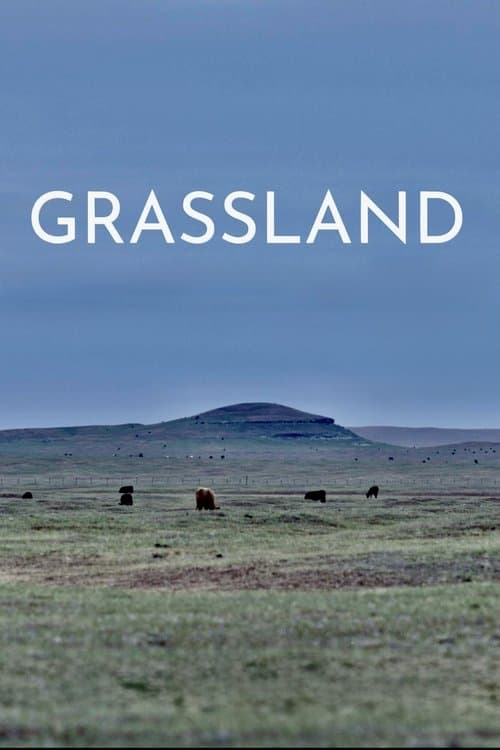 Grassland