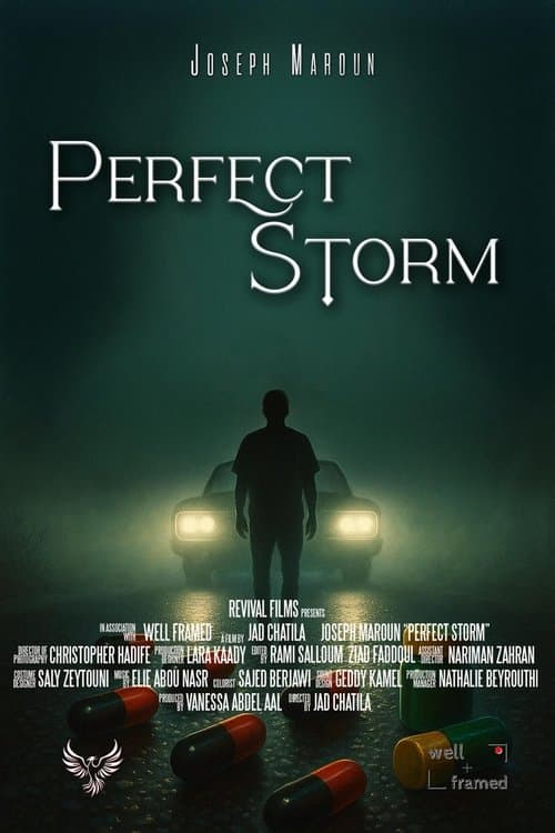 Perfect Storm