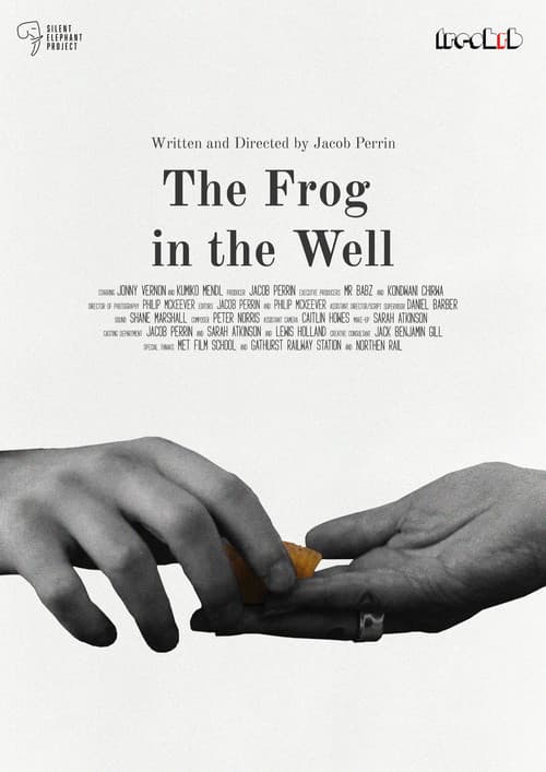 The Frog in The Well