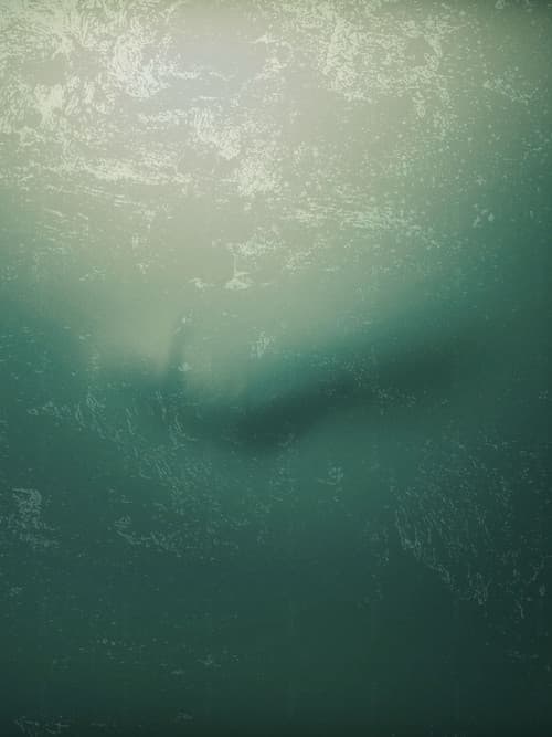 I Don't Want to Walk Alone