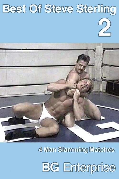 The Best Of Steve Sterling 2