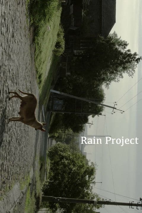 Rain Project