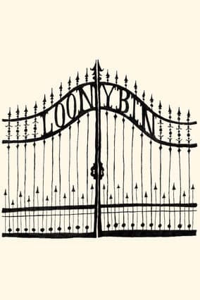 Loony Bin