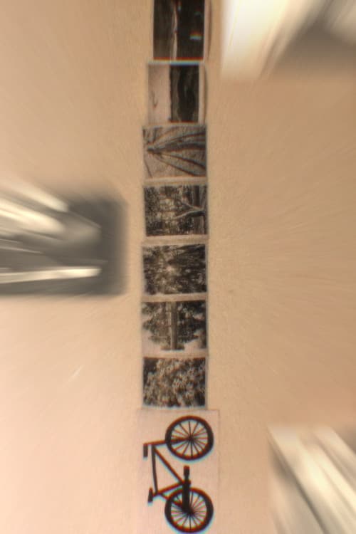 Biking And Its New Resemblance