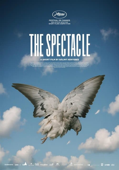 The Spectacle