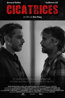 Cicatrices