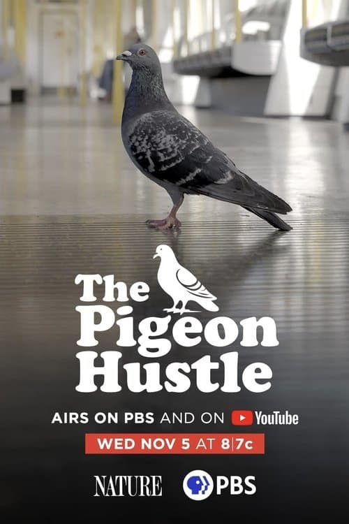 The Pigeon Hustle