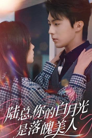 陆总, 你的白月光是落魄美人