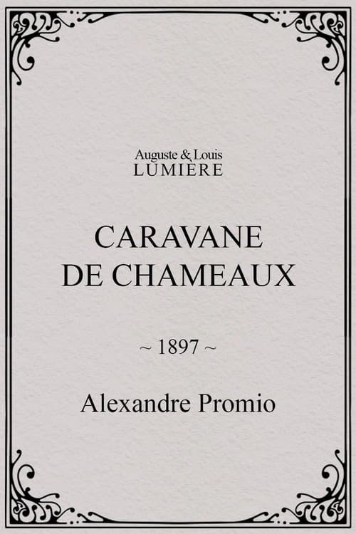 Caravane de chameaux