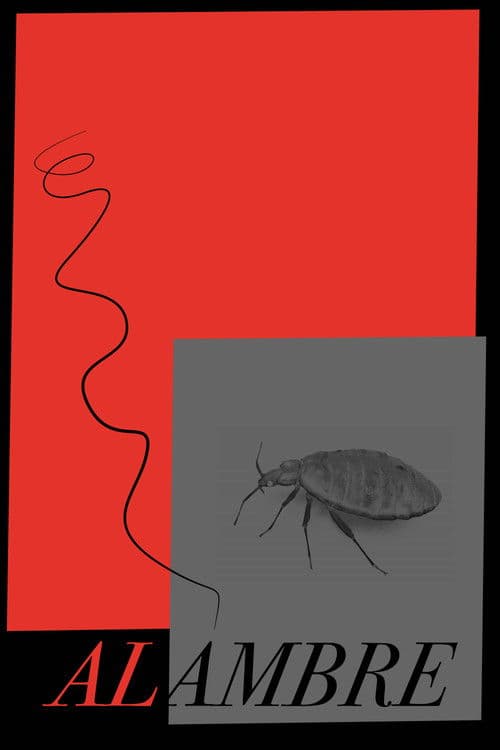 ALAMBRE