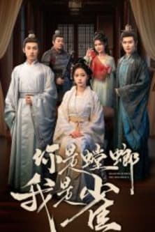 你是螳螂我是雀