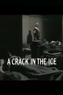 A Crack in the Ice