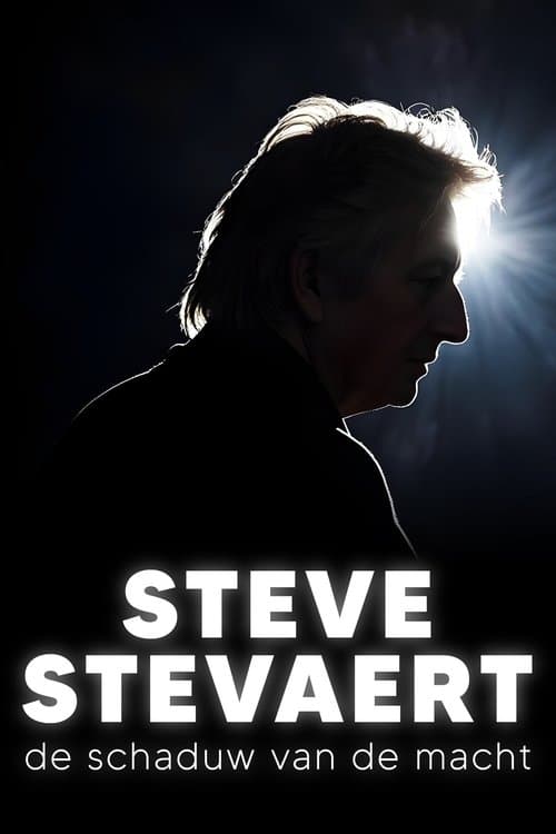 Steve Stevaert, de schaduw van de macht