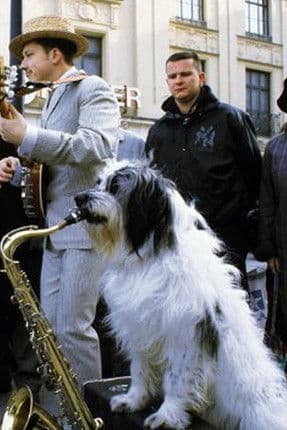 Willy Wuff Collection