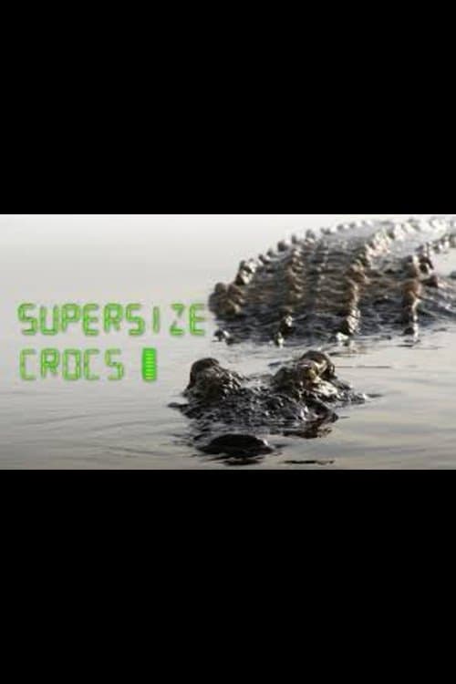 Supersize Crocs - Finding the World's Largest Crocodiles