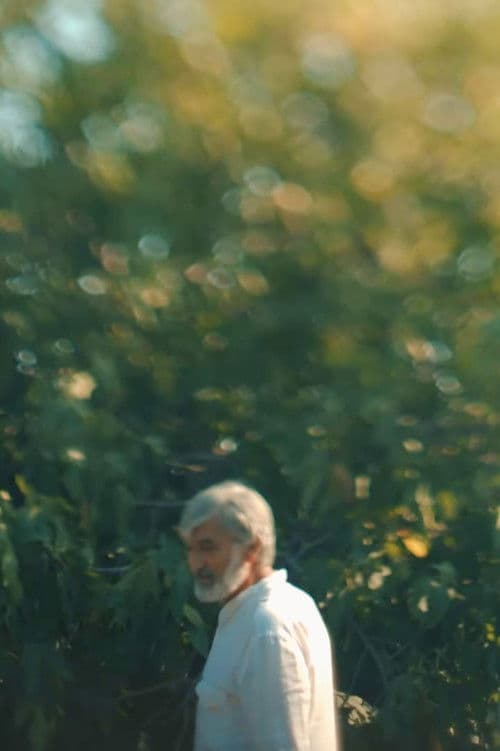 Baku Diaries 3: Memory