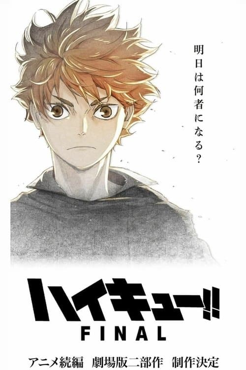 HAIKYU!! Final Arc Collection