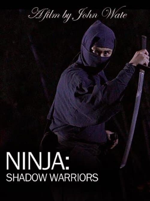 Ninja Shadow Warriors