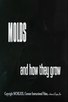 Molds and How They Grow