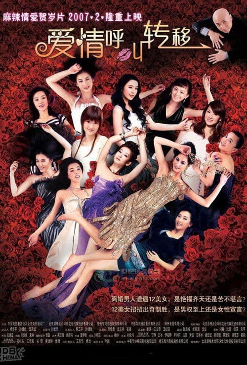 爱情呼叫转移 (系列)