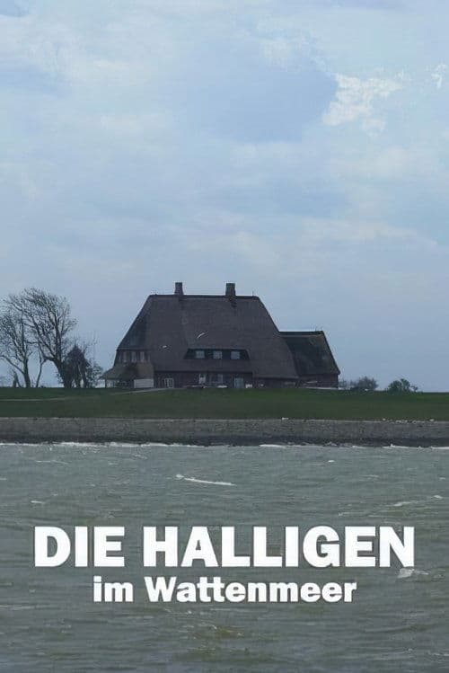 Die Halligen im Wattenmeer