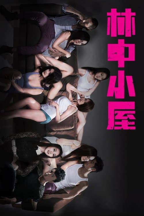 The Lodge in the Woods