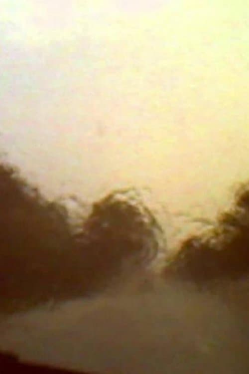 Venezia 70 - Future Reloaded, Apichatpong Weerasethakul