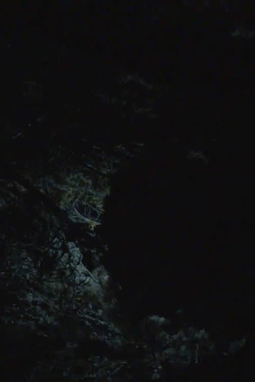 All the Planets in My Heart