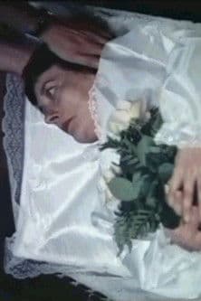 Gestatten, Bestatter