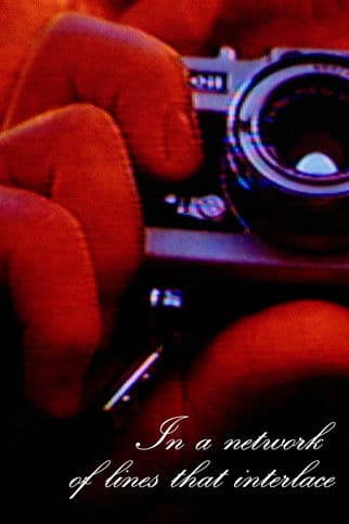 In a network of lines that interlace