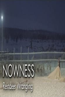 Untold Odyssey: Reindeer Wrangling