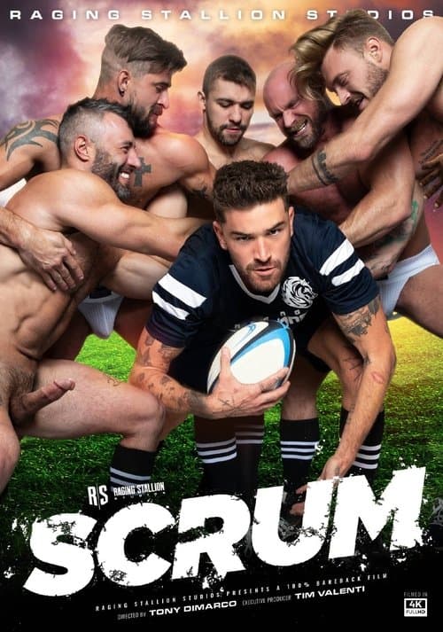 SCRUM Collection